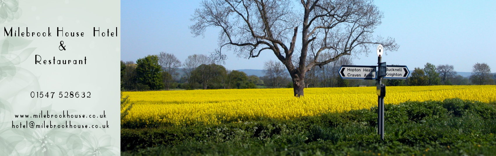 Wheely Wonderful Cycliing Holidays at Milebrook House Hotel